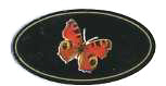 Les insects